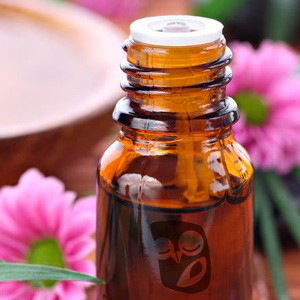 woodfloria-michelle-coates-aromatic-kinesiology